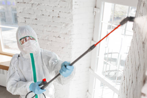 Best Dehumidification Services  in Denison, IA