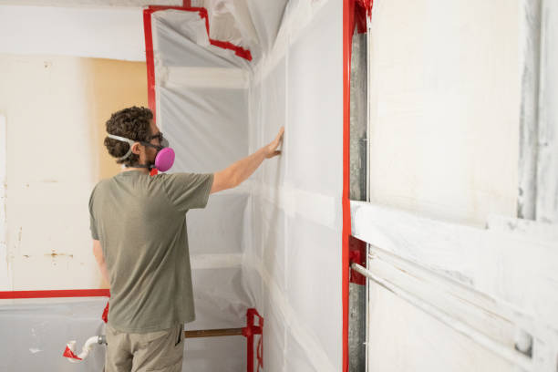 Best Post-Remediation Verification Testing  in Denison, IA