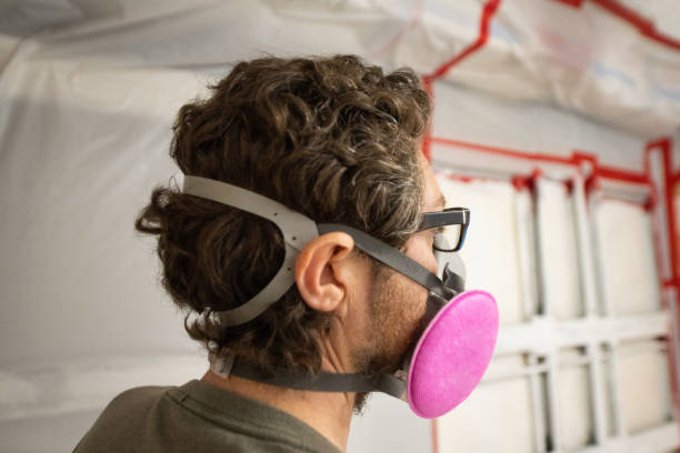 Best Industrial Mold Remediation  in Denison, IA