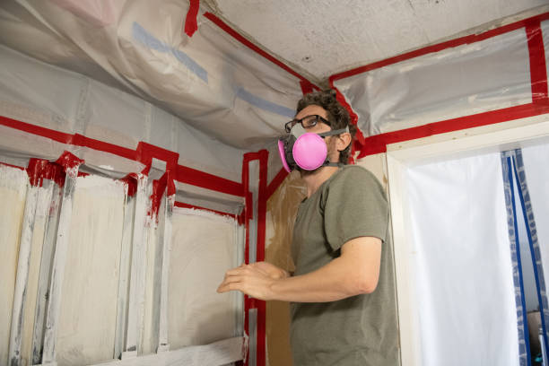  Denison, IA Mold Removal Pros