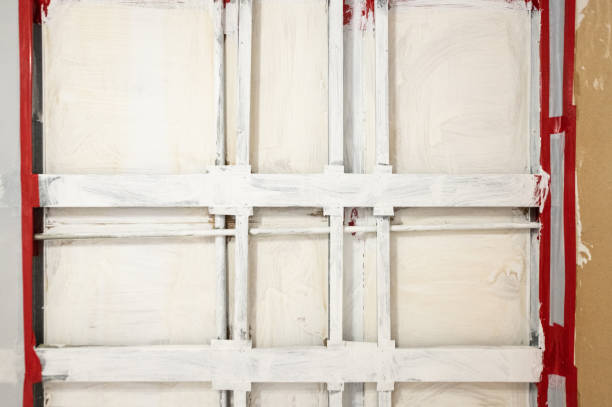 Best Asbestos and Lead Testing During Mold Inspection  in Denison, IA
