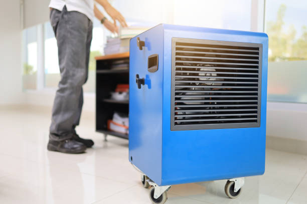 Best Environmental Consulting for Mold Prevention  in Denison, IA
