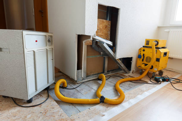 Best Mold Prevention Services  in Denison, IA